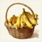 Nostalgic Illustration Of A Basket Full Of Bananas