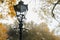 Nostalgic lamp in the park with cobwebs on a misty autumn morning, copy space, selected focus
