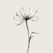 Nostalgic Minimalism: Delicate Black And White Flower Illustration