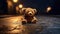 Nostalgic Night: A Teddy Bear\\\'s Solitude on Rain-Soaked Asphalt