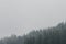 Nostalgic view of evergreen coniferous forest with low clouds and fog.