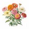 Nostalgic Zinnia Bouquet: Detailed Watercolor Botanical Art