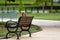 Nosy brown squirrel sitting on the edge of athe bench - image