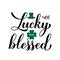 Not lucky just blessed calligraphy hand lettering. Funny St. Patricks day quote typography poster. Vector template for greeting