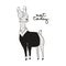 Not today llama quote. Scandinavian style vector alpaca illustration, kids cartoon character. Trendy decorative drawing. Nursery