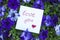 The note with text `love you` in petunia flowers