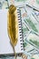 Notebook and Gold quill pen on dollar money background from dollars