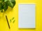 Notepad for notes, green plant leaves on yellow desktop, flat lay, copy space.