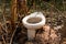 Nothing outdoor latrine in the forest cover,toilet