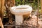 Nothing outdoor latrine in the forest cover,toilet