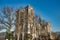 Notre Dame Cathedral behind some trees