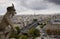 Notre Dame Cathedral Gargoyle over Paris