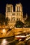 Notre Dame Cathedral illuminated with Petit Pont, Paris, France
