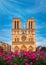 Notre-Dame Cathedral in Paris France with Roses