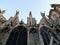 Notre Dame Gargoyles