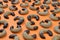 Nougat crescents cookies on orange