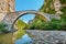 Noutsos stone bridge. Central Zagori, Greece