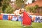 Nova scotia duck tolling retriever is running  agility slalom.