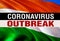 Novel coronavirus - 2019-nCoV on Niger flag, WUHAN virus concept. Coronavirus hazard concept with OUTBREAK text.3D rendering