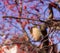 November leaves on a tree