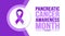 November is Pancreatic Cancer Awareness Month background template. Holiday concept.