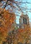 November in Paris, Notre Dame