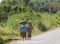 November21, 2018. Laos village people walking to work on narrow main road street between LUANG PRABANG and VANG VIENG