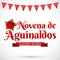 Novena de aguinaldos - Ninth of Bonuses spanish text