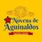 Novena de aguinaldos, Ninth of Bonuses Spanish text, Christmas tradition in Colombia.