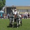 Novi Sad, Serbia, 20.05.2018 Fair, coachman with two white horses