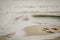 Novi Sad, Serbia - September 29. 2019: Sandy beach on the Danube River