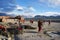 Novices gompa playing volleyball during the holiday, in the back of the monastery, on the background of the Himalayas.