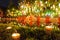 Novices sitting a meditation in Loy kratong festival