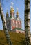 Novodevichy Monastery Church and birch
