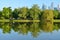 Novodevichy Pond in Moscow. Mirror reflection