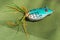 Novosibirsk, Russia, April 17, 2021 - Fishing hook with a bayman in the shape of a frog. Fishing bait on green cloth background.