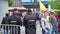 Novosibirsk, Russia - June 12, 2017: Two policemen keeps order at a rally, Anti-corruption protests