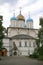 Novospassky monastery. Moscow 3