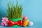 Novruz greeting card. Nowruz celebration. Wheat grass, spring flower, eggs on blue background,