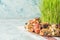 Novruz traditional tray with green wheat grass semeni or sabzi, sweets and dry fruits pakhlava on white background. Spring equinox