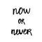 Now or never - Hand Drawn brush text. Handmade lettering for you