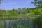 NPV Nature Center Marsh and Grasses