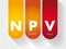 NPV - Net Present Value acronym