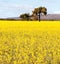 NSW outback near Cowra