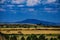 Ntulele Highway Road Landscape Nature Travels in Narok County Engulfed with Wheat Farm Plantations Food Great Rift Valley Kenya