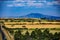 Ntulele Highway Road Landscape Nature Travels in Narok County Engulfed with Wheat Farm Plantations Food Great Rift Valley Kenya