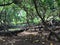 Nualolo Kai, Ancient Hawaiian Fishing Village at NaPali Coast on Kauai Island in Hawaii.