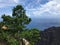 Nualolo Trail to Lolo Vista Lookout in Waimea Canyon on Kauai Island, Hawaii.