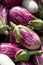 Nubia aubergines or eggplants for fresh European healthy diet