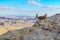 Nubian Ibex and landscape of Makhtesh crater Ramon